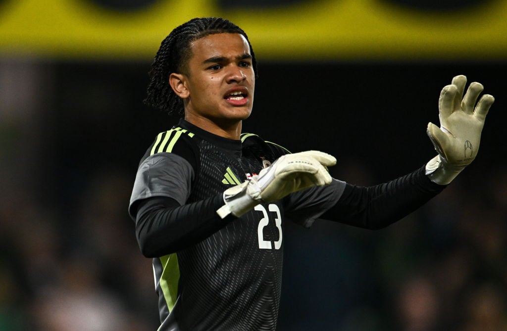 Northern Ireland v Switzerland - International Friendly