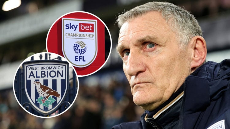 An image of West Brom manager Tony Mowbray looking upset or concerned, with two insets: one of the West Bromwich Albion badge and another of the EF...
