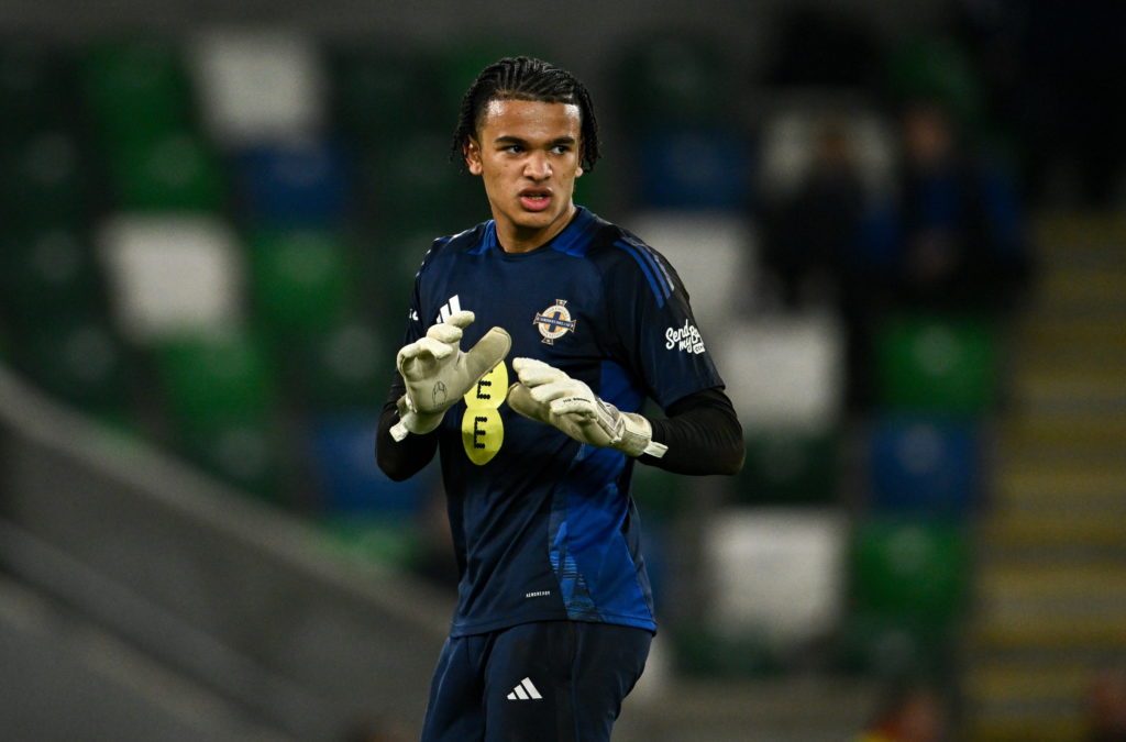 Northern Ireland v Switzerland - International Friendly