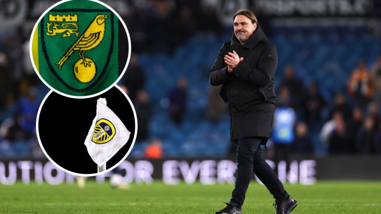 Daniel Farke looks dejected after Leeds United defeat, inset of the Leeds badge, inset of the Norwich City badge