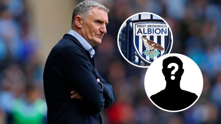 An image of Tony Mowbray with mystery inset and West Brom badge