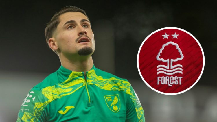 Borja Sainz of Norwich City warms up before the Sky Bet Championship match between Norwich City and Sheffield Wednesday. Inset, Nottingham Forest c...