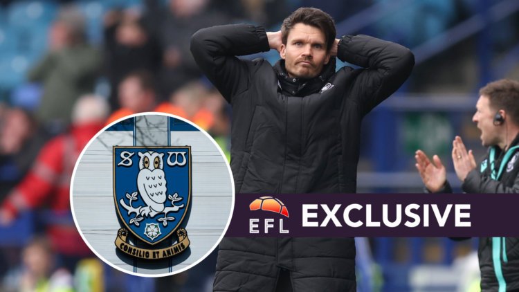 Sheffield Wednesday manager Danny Rohl. Inset, Sheffield Wednesday badge. Overlaid, exclusive branding.