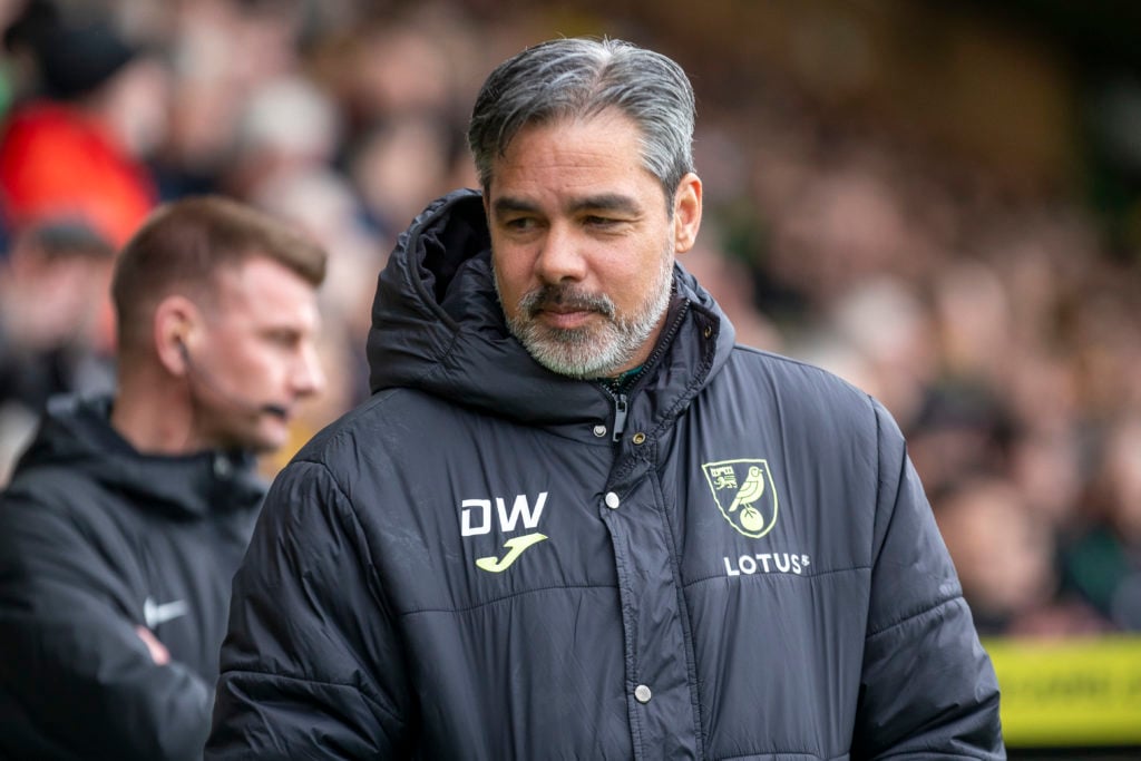 David Wagner during Norwich City v Bristol City - Sky Bet Championship