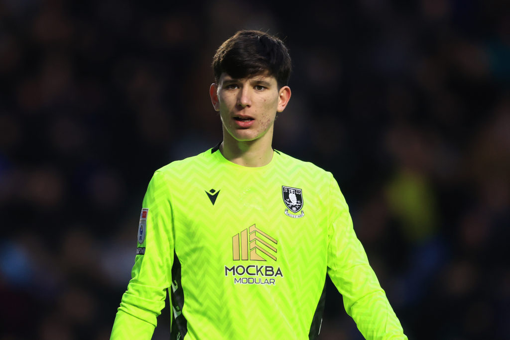 Sheffield Wednesday FC v Luton Town FC - Sky Bet Championship