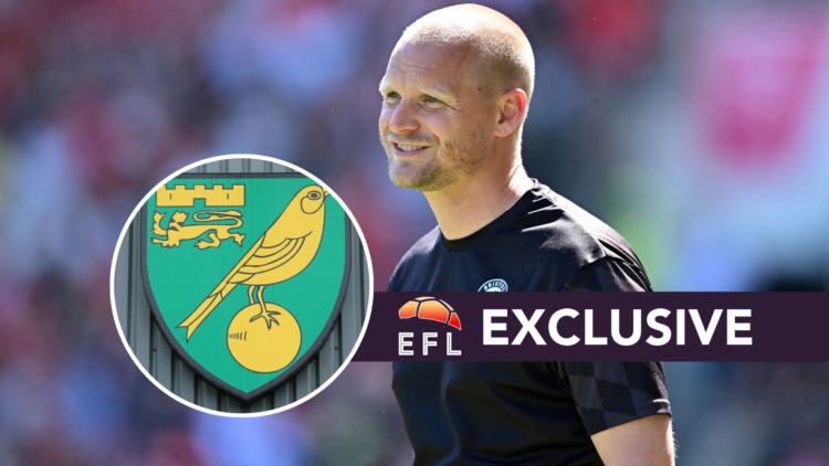 Bristol City manager Liam Manning. Inset, Norwich City badge. Overlaid, exclusive branding.