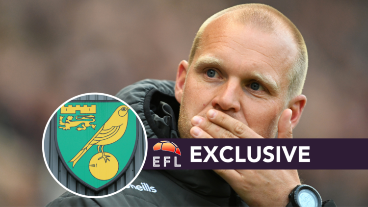 Bristol City manager Liam Manning. Inset, Norwich City badge. Overlaid, exclusive branding.