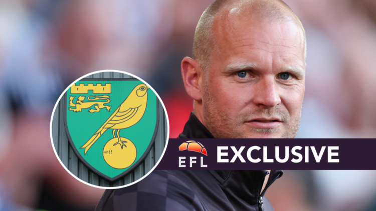 Bristol City manager Liam Manning. Inset, Norwich City badge. Overlaid, exclusive branding.