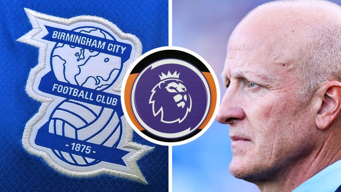 Birmingham City owner Tom Wagner looks on. View of Birmingham City crest on a shirt. Premier League logo.