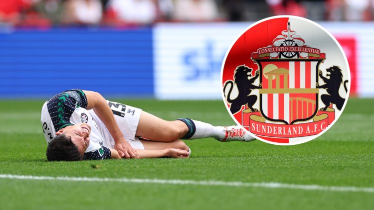 Luke O'Nien suffers an injury during the Championship play-off final. Inset, Sunderland badge.
