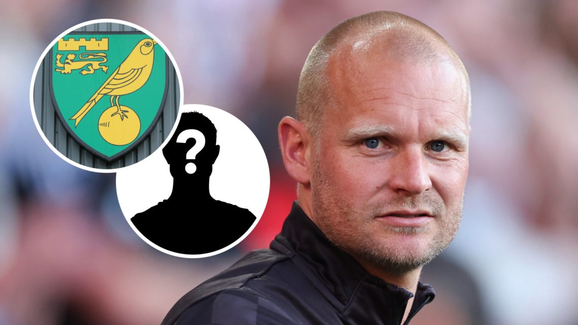 Liam Manning, Norwich City badge and mystery logo