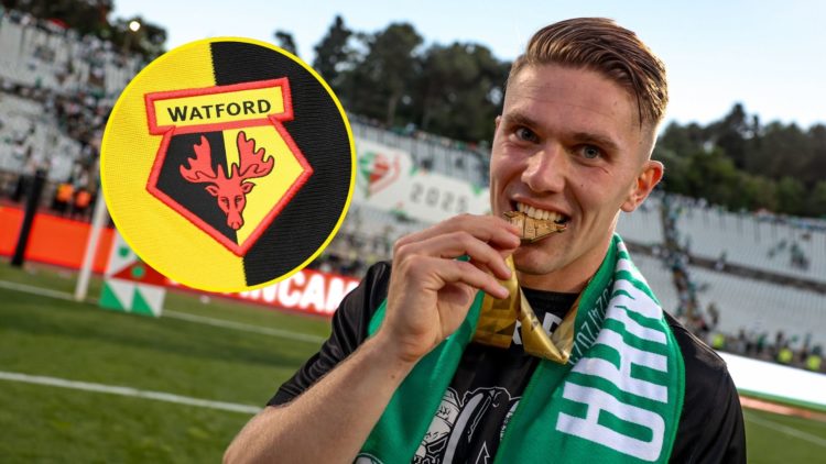 Main image, Viktor Gyokeres, forward of Sporting CP, celebrates with the medal at the end of the 'Taca de Portugal' (Portugal's Cup) match between ...