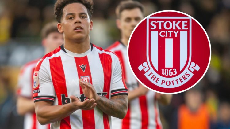 Million Manhoef applauds thee Stoke City fans after a Championship match, and the Stoke City FC badge