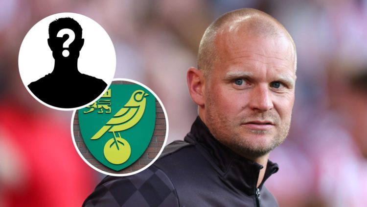 Norwich City boss Liam Manning during his time as Bristol City manager, and inset, the Norwich City FC badge and amystery player