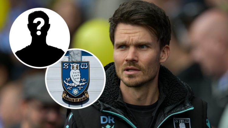 Sheffield Wednesday head coach Danny Rohl watches on during a Championship game, and inset, the Sheffield Wednesday badge and a mystery player