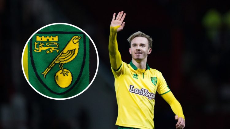 Former Norwich City star James Maddison, with Norwich City badge inset.