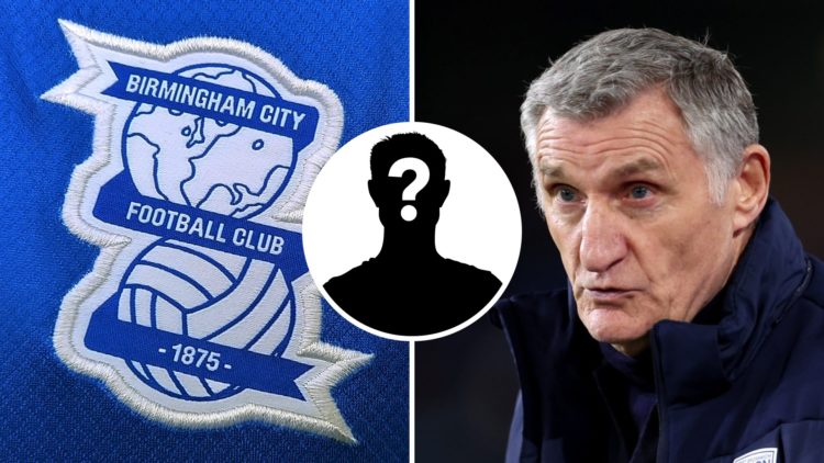 Birmingham City FC badge and former West Bromwich Albion manager Tony Mowbray. Overlaid, a mystery player