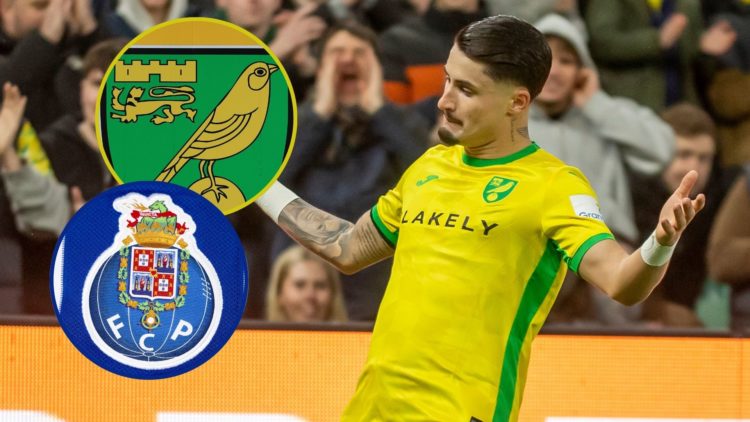 Main image, Borja Sainz of Norwich City celebrates the team's first goal during the Sky Bet Championship match between Norwich City and Sheffield W...