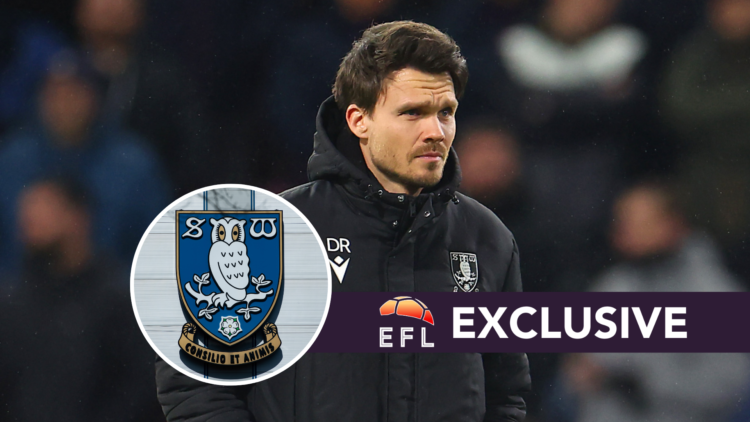 Sheffield Wednesday manager Danny Rohl. Inset, Sheffield Wednesday badge. Overlaid, exclusive branding.