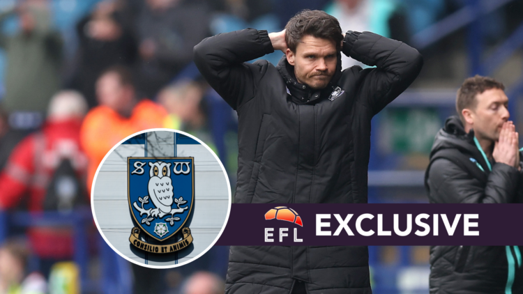 Sheffield Wednesday manager Danny Rohl. Inset, Sheffield Wednesday badge. Overlaid, exclusive branding.