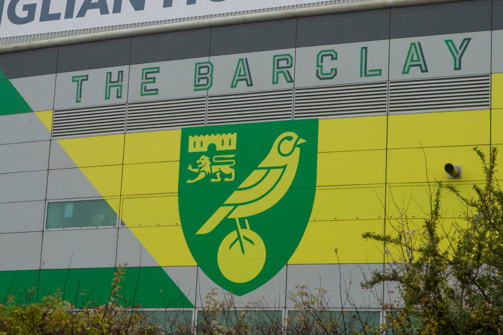 A general view of the Norwich City Football Club logo before the Sky Bet Championship match between Norwich City and Luton Town at Carrow Road in Norwich, on November 30, 2024.
