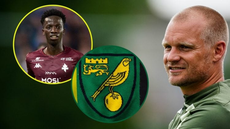 Main image, Norwich City head coach Liam Manning looks on during the Pre-Season Friendly match between Norwich City and Olympiacos at Sportpark 't ...