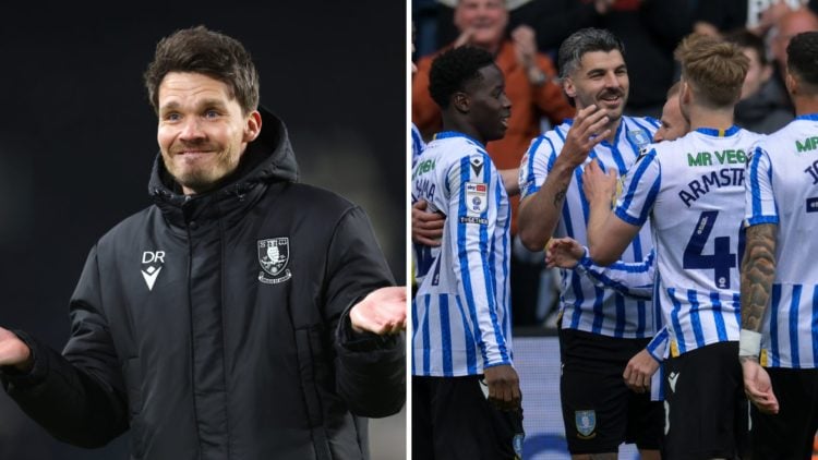 Danny Rohl reacts to a decision given during Hull City vs Sheffield Wednesday. Callum Paterson of Sheffield Wednesday celebrates his goal with his ...