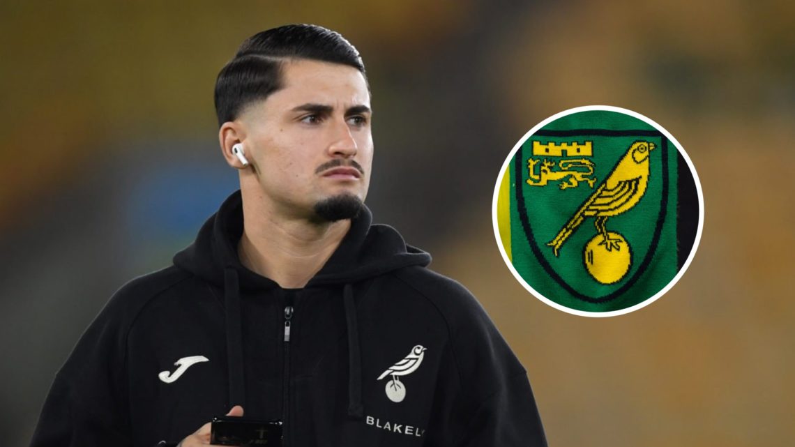 Former Norwich City star Borja Sainz. Inset, Norwich City badge.