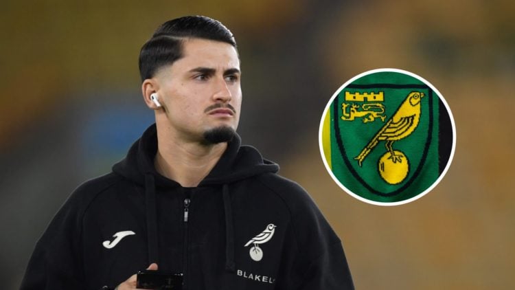 Former Norwich City star Borja Sainz. Inset, Norwich City badge.