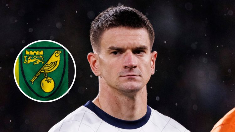 Serbian midfielder Mirko Topic. Inset, Norwich City badge.