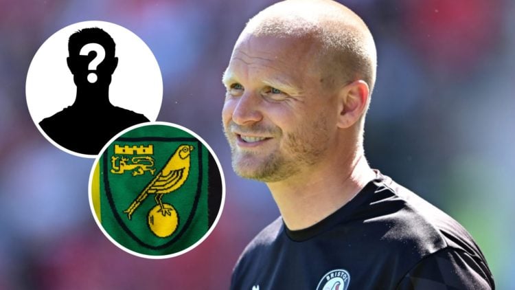 Norwich City FC manager Liam Manning during time as Bristol City FC manager. Inset, the Norwich City FC badge and a mystery player