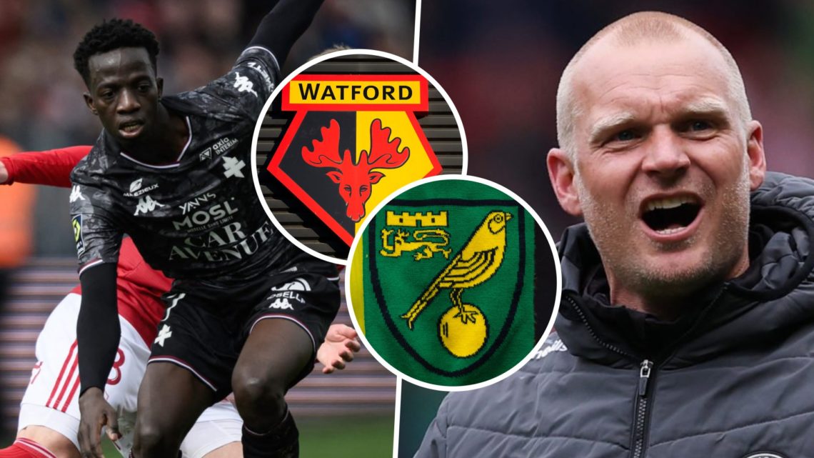 Papa Amadou Diallo on the ball for FC Metz, and Norwich City FC head coach Liam Manning. Inset, the Norwich City FC badge and the Watford FC badge