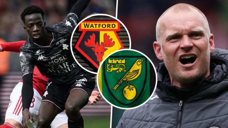 Papa Amadou Diallo on the ball for FC Metz, and Norwich City FC head coach Liam Manning. Inset, the Norwich City FC badge and the Watford FC badge