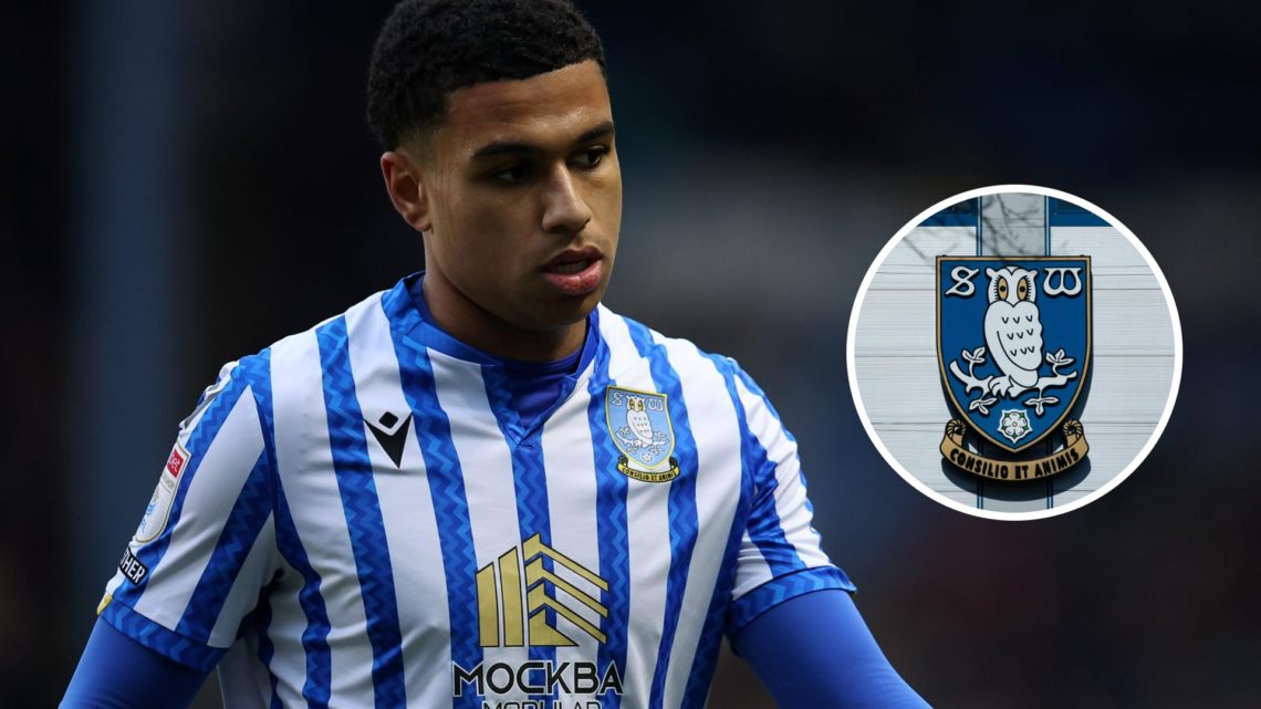 Shea Charles of Sheffield Wednesday looks on during the Sky Bet Championship match between Sheffield Wednesday FC and Millwall FC. Inset, Sheffield...