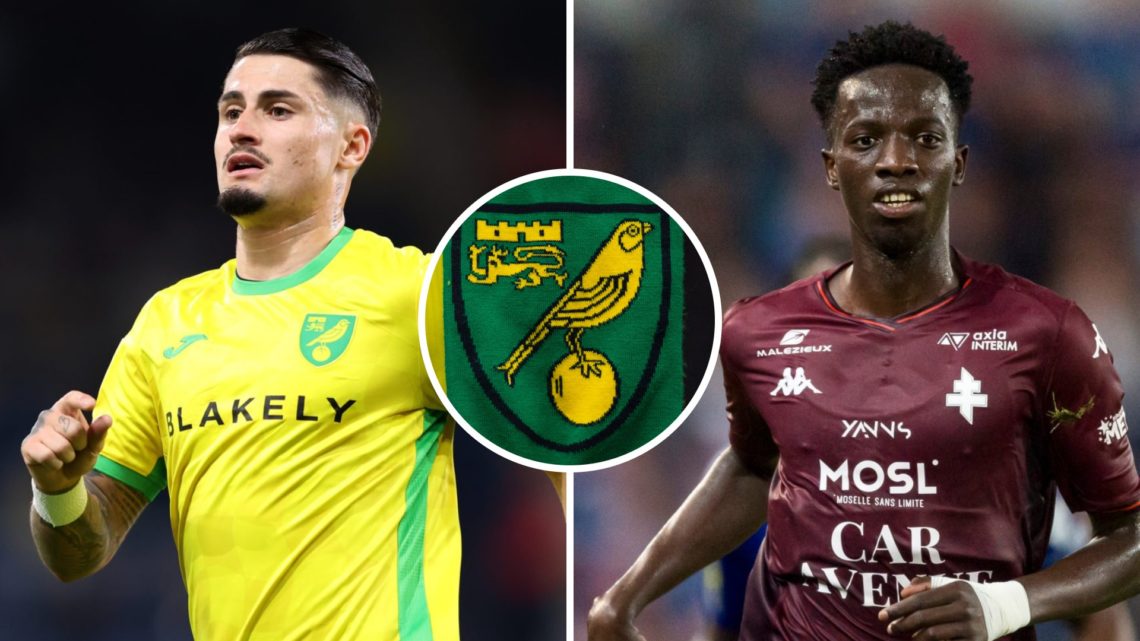 Borja Sainz in Championship action for Norwich City FC, and Papa Diallo reacts during game for FC Metz. Overlaid, the Norwich City FC badge