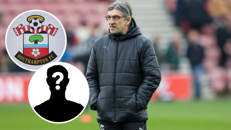 Head Coach Ivan Jurić of Southampton during the Premier League match between Southampton FC and AFC Bournemouth. Inset, Southampton badge. Inset, M...