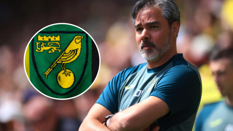 David Wagner, Manager of Norwich City during the Sky Bet Championship Play-Off Semi-Final 1st Leg match between Norwich City and Leeds United. Inse...