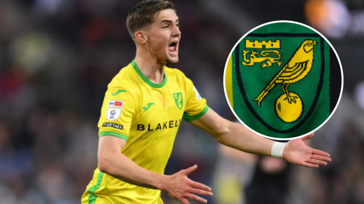Jacob Wright of Norwich City reacts during the Sky Bet Championship match between Burnley FC and Norwich City FC. Inset, Norwich City badge on a fa...