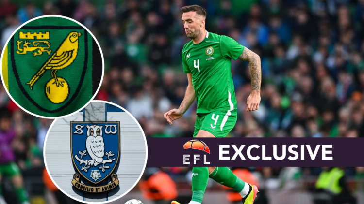 Shane Duffy of Republic of Ireland during the international friendly match between Republic of Ireland and Hungary. Inset, Norwich City badge on a ...