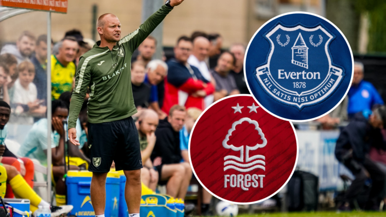 Norwich City head coach Liam Manning gestures during the Pre-Season Friendly match between Norwich City and Olympiacos at Sportpark. Inset, Everton...
