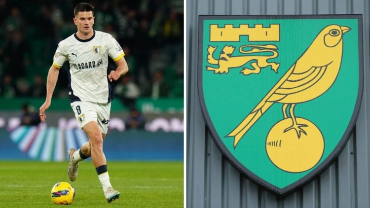 Mirko Topic during Sporting CP v FC Famalicao - Liga Portugal Betclic 2024/2025, a detailed view of the Norwich City badge