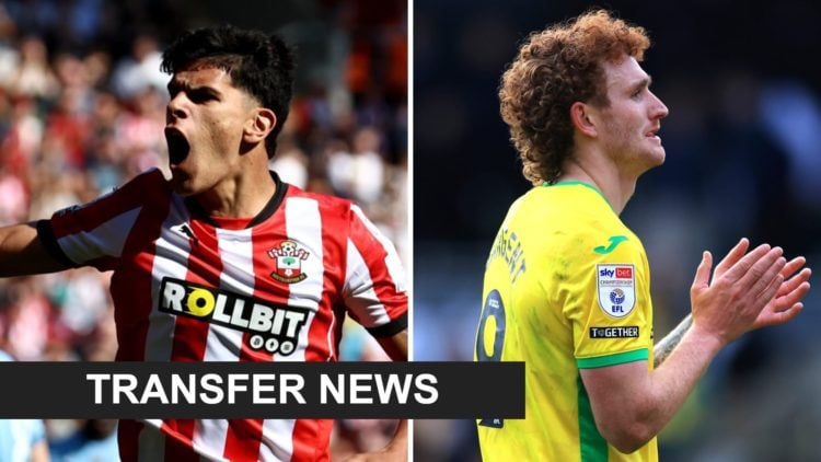 Split image of Southampton's Mateus Fernandes (L) and Norwich City's Josh Sargent (R)