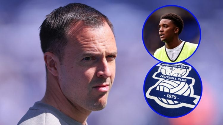 Chris Davies (main), Birmingham City badge (inset) and Demarai Gray (inset)