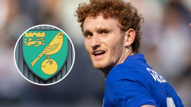 Josh Sargent playing for the USA. Inset, Norwich City badge.